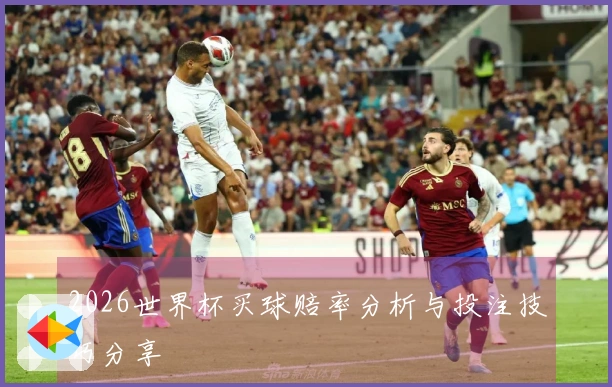 2026世界杯买球赔率分析与投注技巧分享