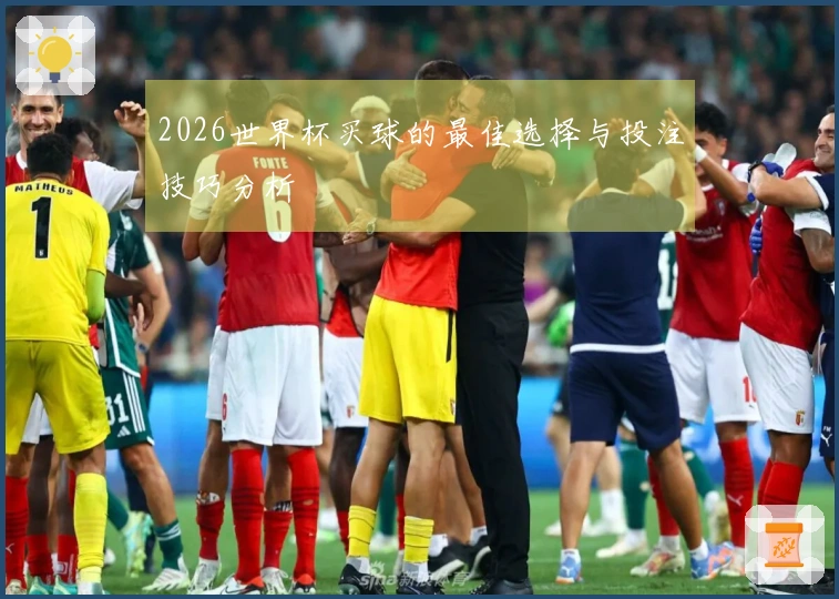2026世界杯买球的最佳选择与投注技巧分析