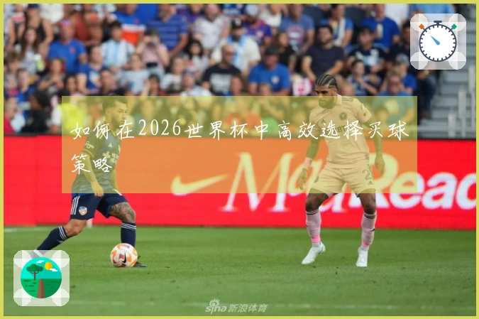如何在2026世界杯中高效选择买球策略