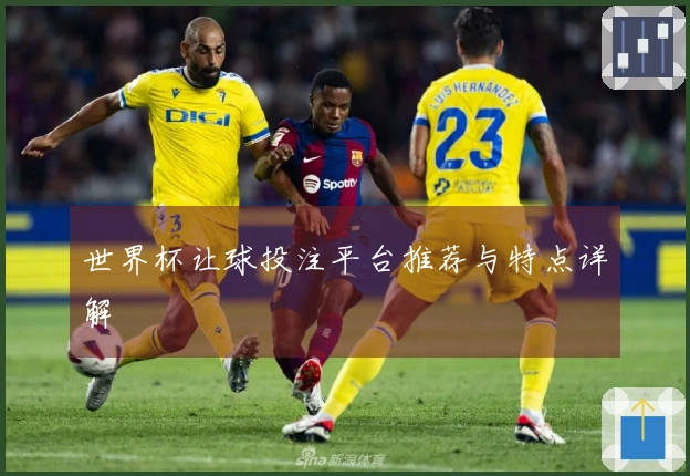 世界杯让球投注平台推荐与特点详解
