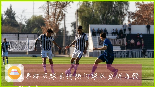 世界杯买球竞猜热门球队分析与预测指南
