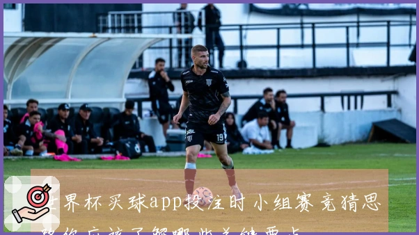 世界杯买球app投注时小组赛竞猜思路你应该了解哪些关键要点