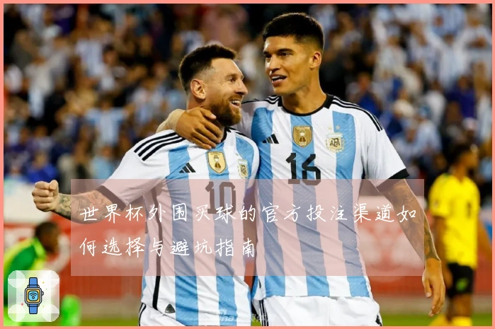世界杯外围买球的官方投注渠道如何选择与避坑指南