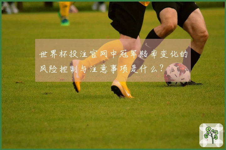 世界杯投注官网中冠军赔率变化的风险控制与注意事项是什么?