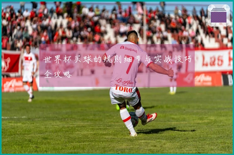 世界杯买球的规则细节与实战技巧全攻略