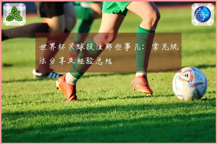 世界杯买球投注那些事儿:常见玩法分享及经验总结