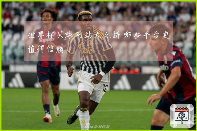 世界杯买球网站大比拼 哪些平台更值得信赖