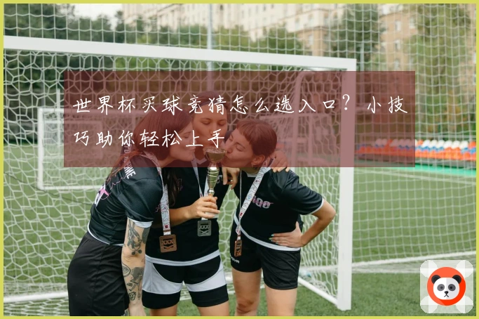 世界杯买球竞猜怎么选入口？小技巧助你轻松上手