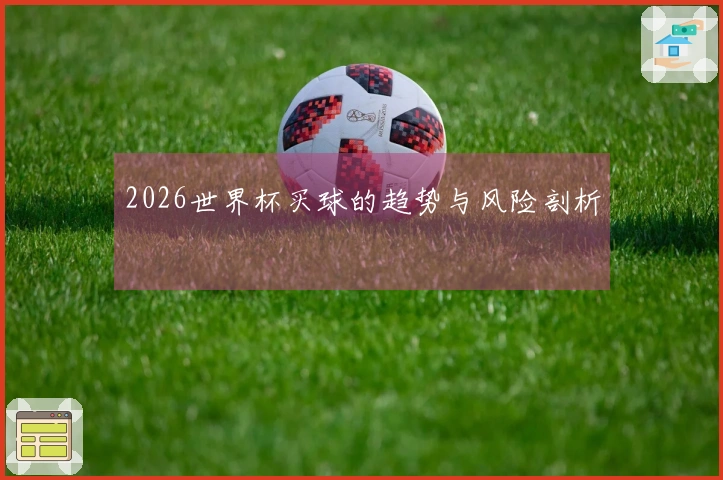 2026世界杯买球的趋势与风险剖析