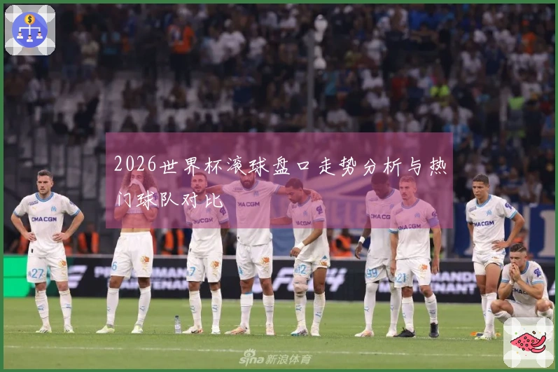 2026世界杯滚球盘口走势分析与热门球队对比