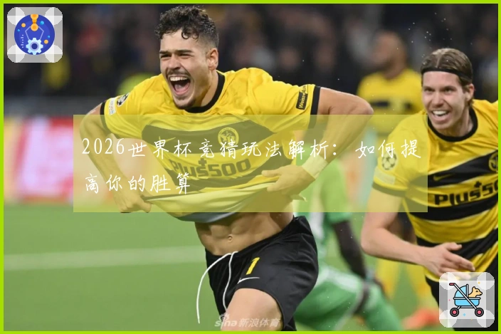 2026世界杯竞猜玩法解析:如何提高你的胜算