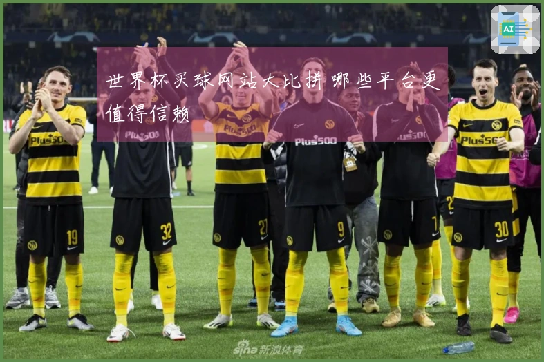 世界杯买球网站大比拼 哪些平台更值得信赖