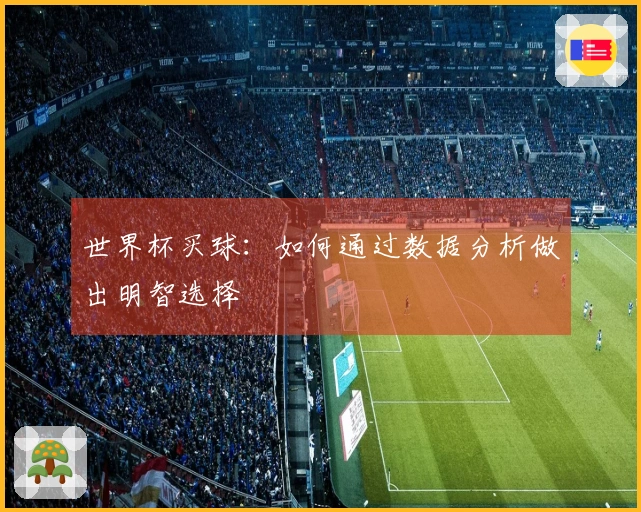 世界杯买球：如何通过数据分析做出明智选择