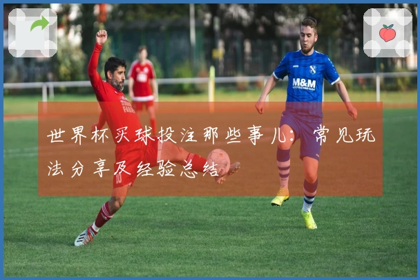 世界杯买球投注那些事儿：常见玩法分享及经验总结