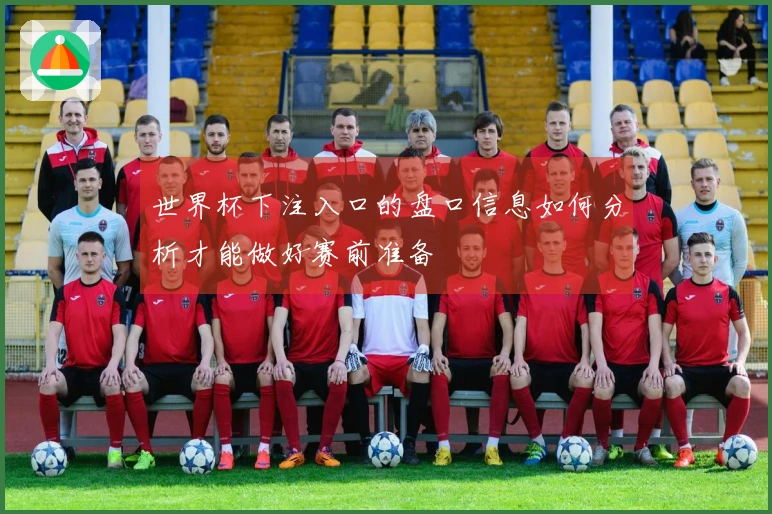 世界杯下注入口的盘口信息如何分析才能做好赛前准备