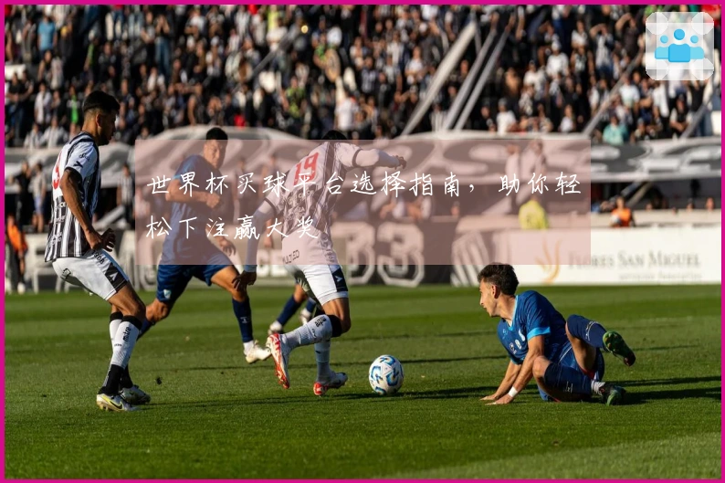 世界杯买球平台选择指南，助你轻松下注赢大奖