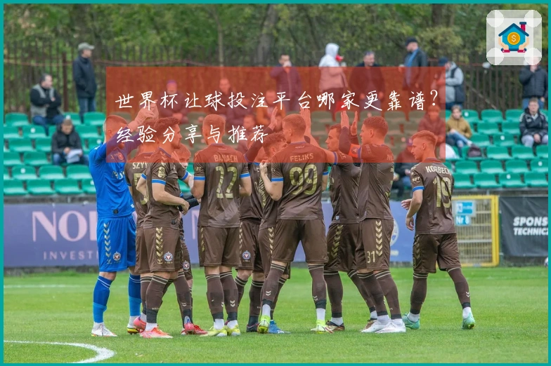 世界杯让球投注平台哪家更靠谱？经验分享与推荐
