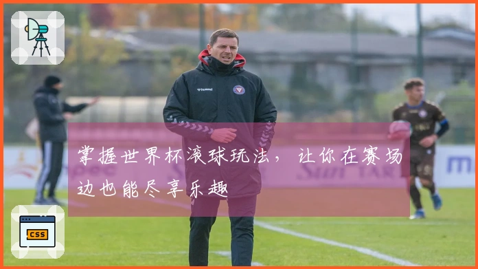 掌握世界杯滚球玩法，让你在赛场边也能尽享乐趣