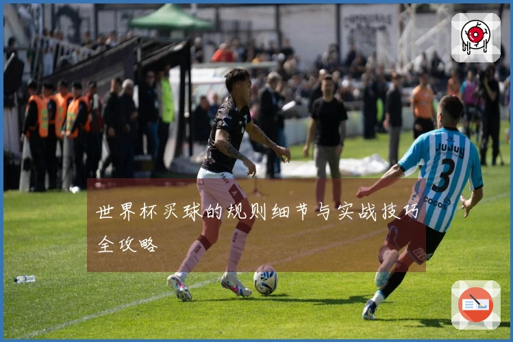 世界杯买球的规则细节与实战技巧全攻略