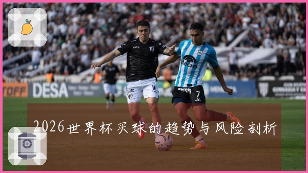 2026世界杯买球的趋势与风险剖析