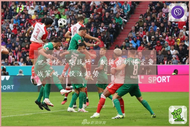 世界杯买球技巧：数据分析揭示备战策略与投注趋势