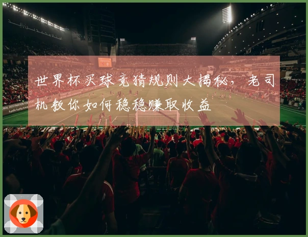 世界杯买球竞猜规则大揭秘，老司机教你如何稳稳赚取收益