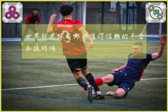 世界杯买球有哪些值得信赖的平台和技巧吗
